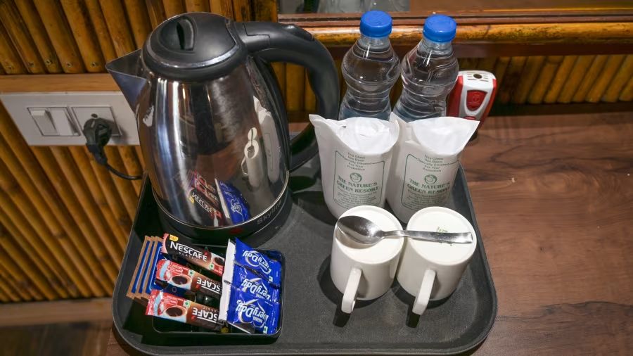 The Nature's Green Resort